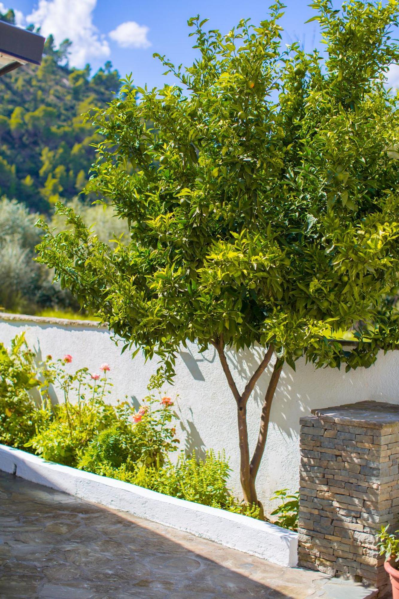 River House Boutique 4* Berat