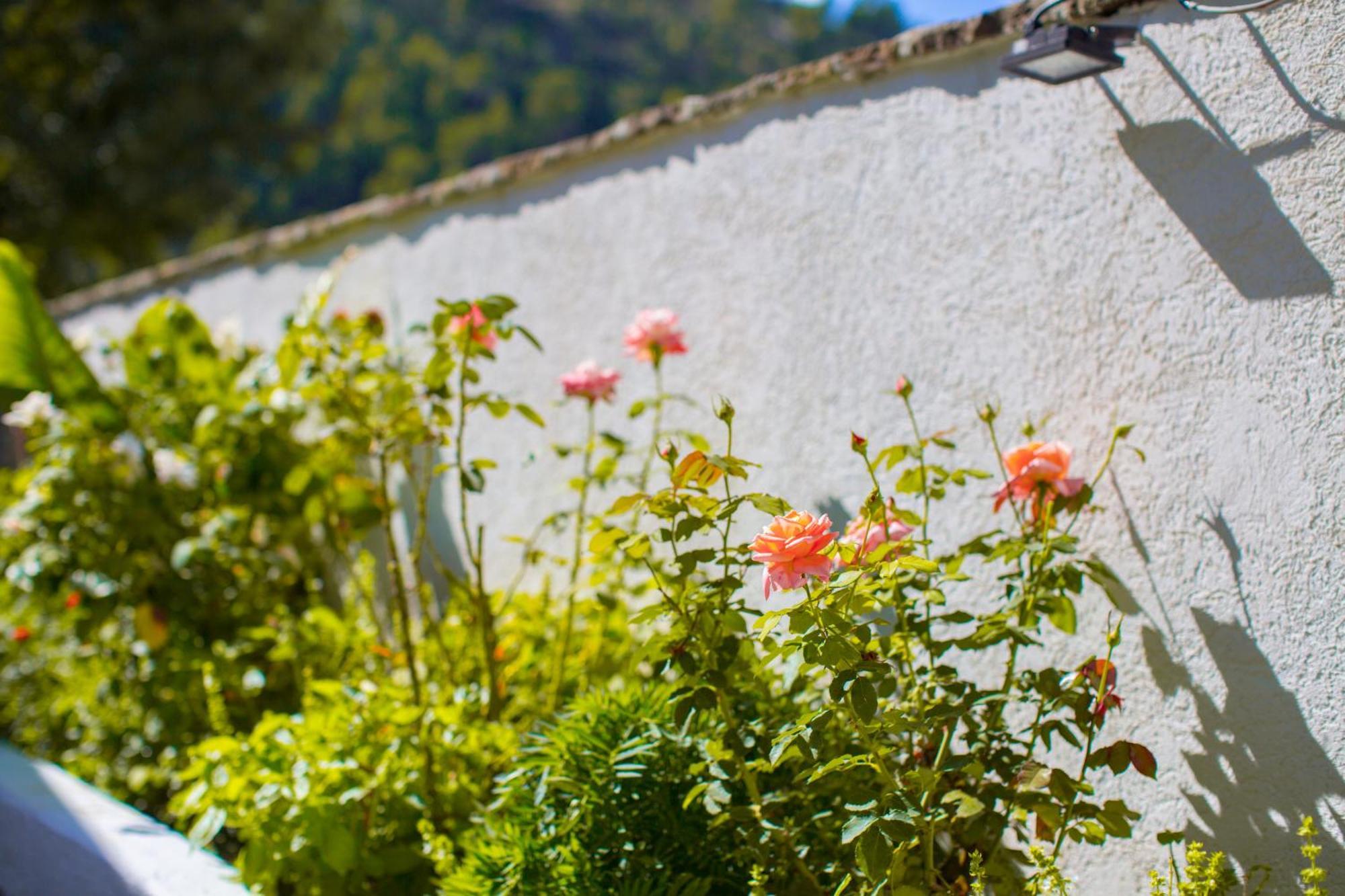 Hotel River House Boutique 4*